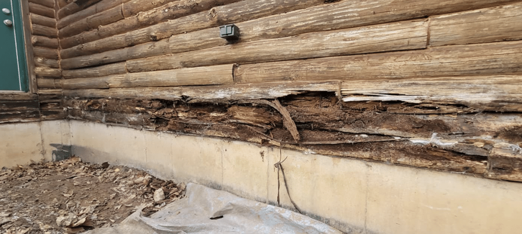 Inspection Finding Log Rot on Cabin